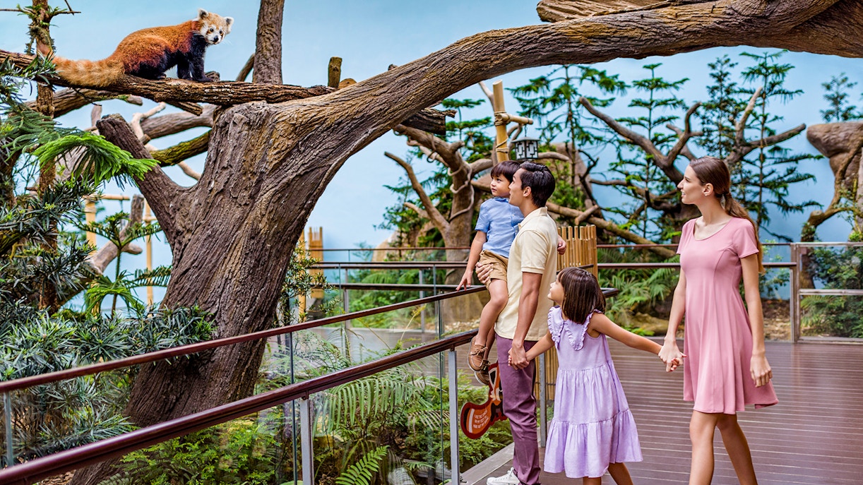 Family exploring Singapore River Wonder