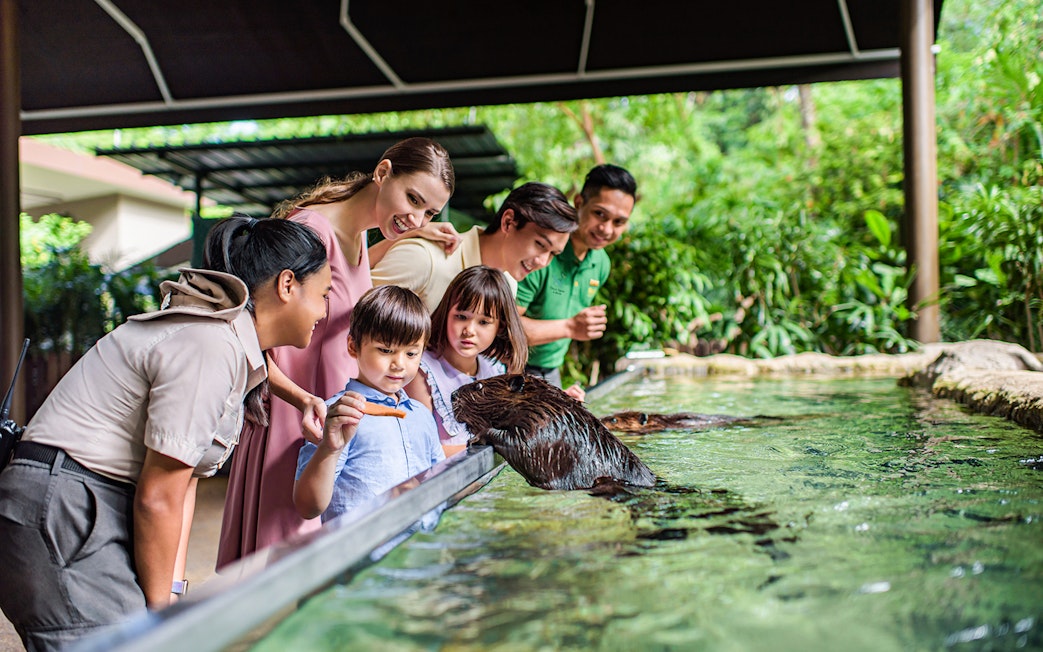 Family interacting with otter at Singapore River Wonders.