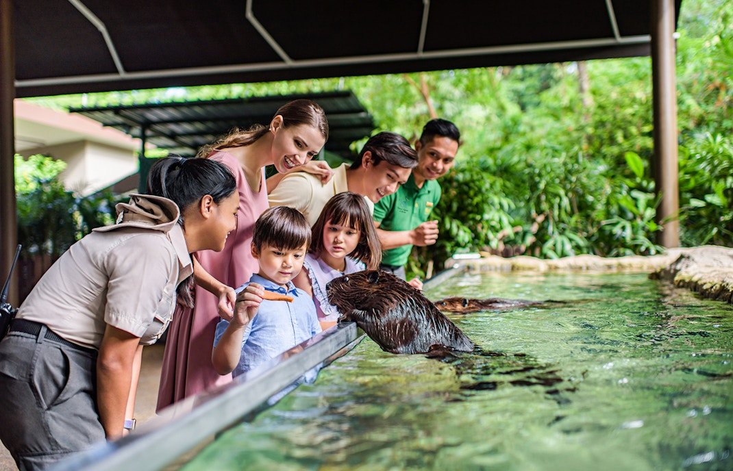 River Wonders Singapore Tickets