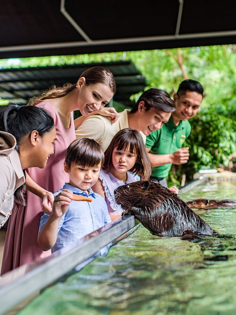 Family interacting with otter at Singapore River Wonders.