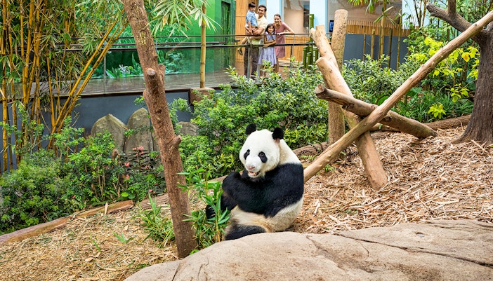 Mandai Wildlife Reserve - Riverside Staycation