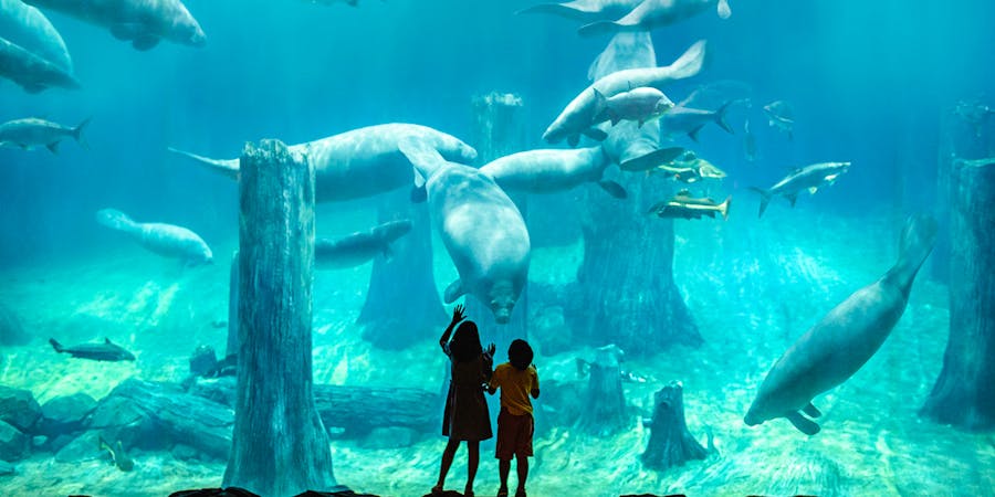 Singapore in May - River Safari