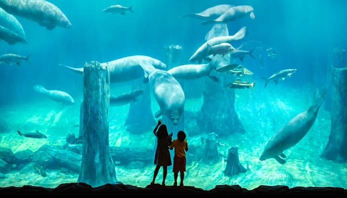 River Wonders