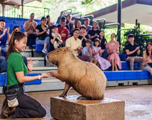 Singapore River Wonders Tickets