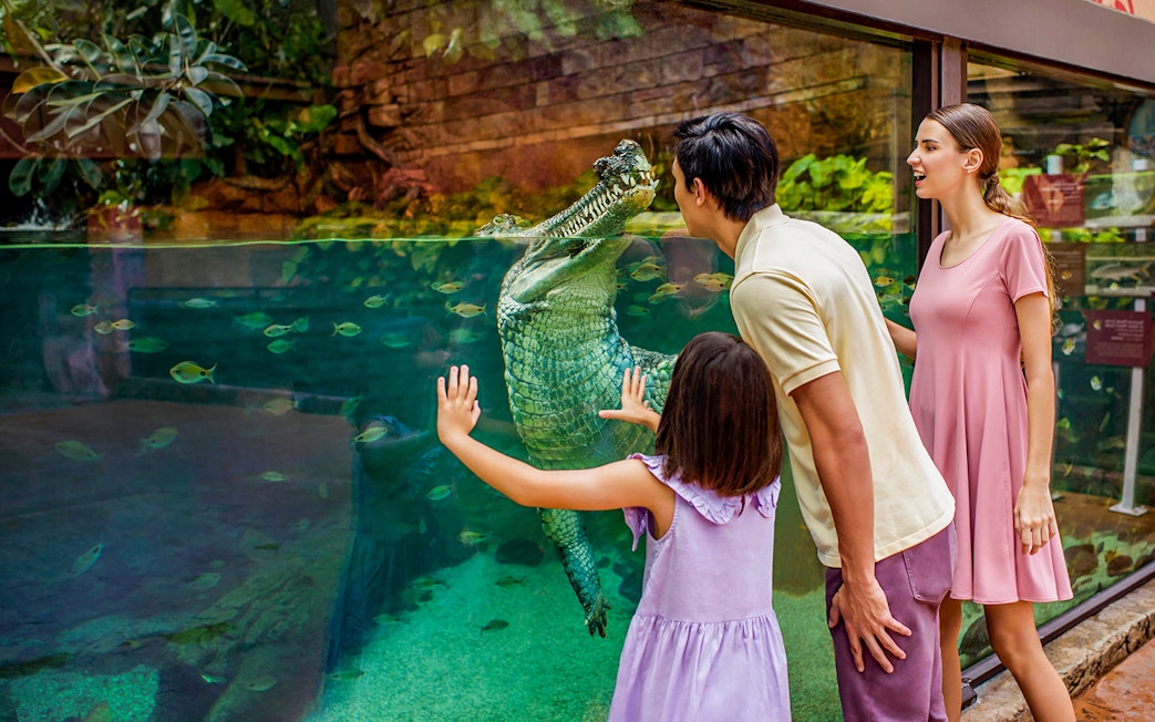 Family observing crocodile at River Wonders aquarium exhibit.