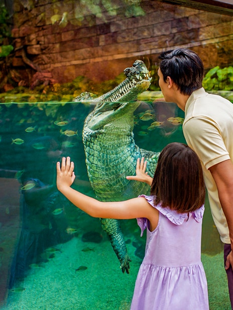 Family observing crocodile at River Wonders aquarium exhibit.