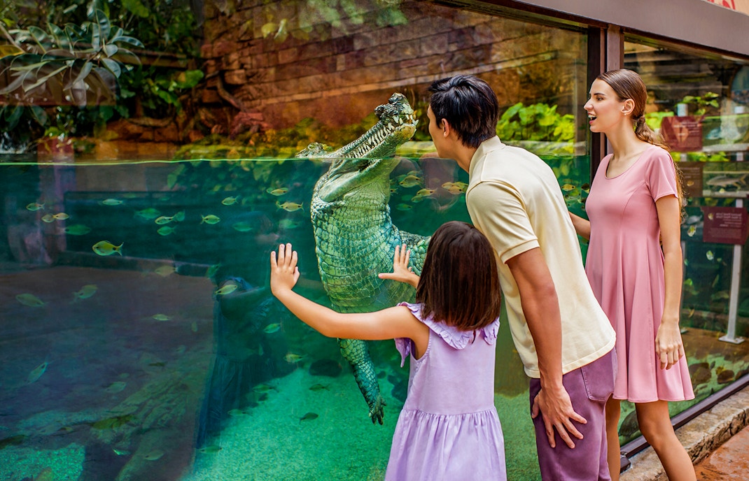 Family observing crocodile at River Wonders aquarium exhibit.