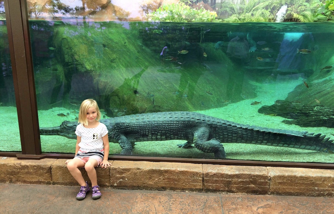 River Wonders Singapore Tickets