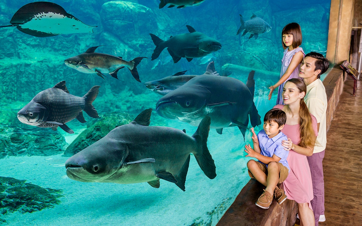 Family observing fish in an aquarium at Singapore River Wonders.