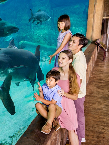 Family observing fish in an aquarium at Singapore River Wonders.