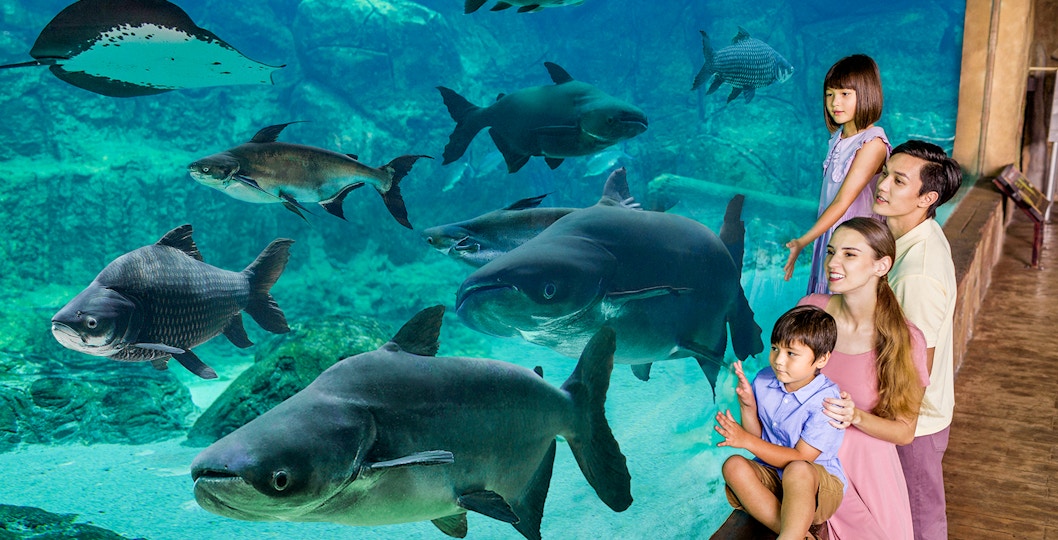 Family watching fish at River Wonders, Singapore