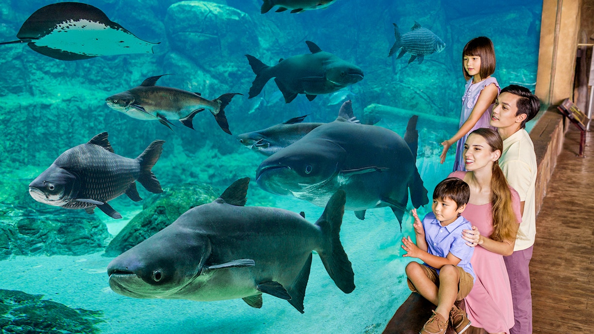 Family observing fish in an aquarium at Singapore River Wonders.