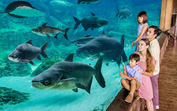 Family observing fish in an aquarium at Singapore River Wonders.