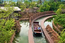 Best Things to do in Singapore - River Safari - 2