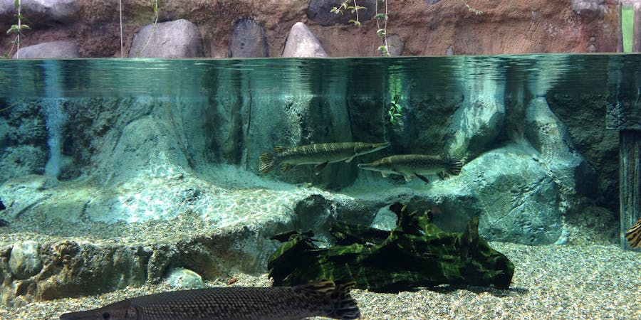 Singapore in October - River Safari