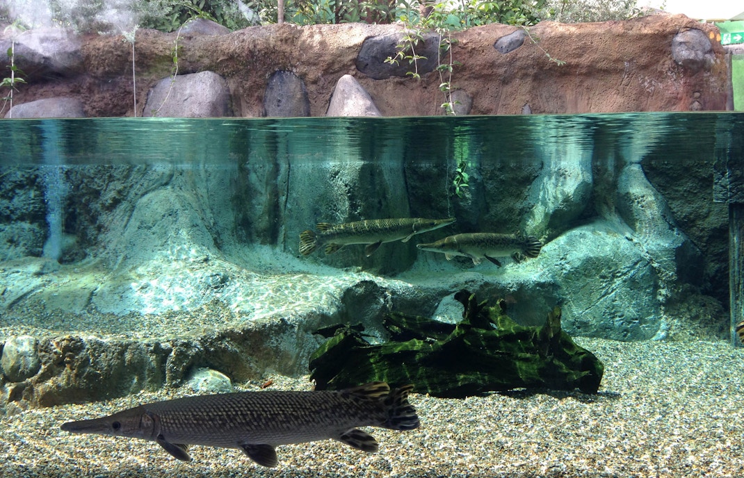 River Wonders Singapore Tickets