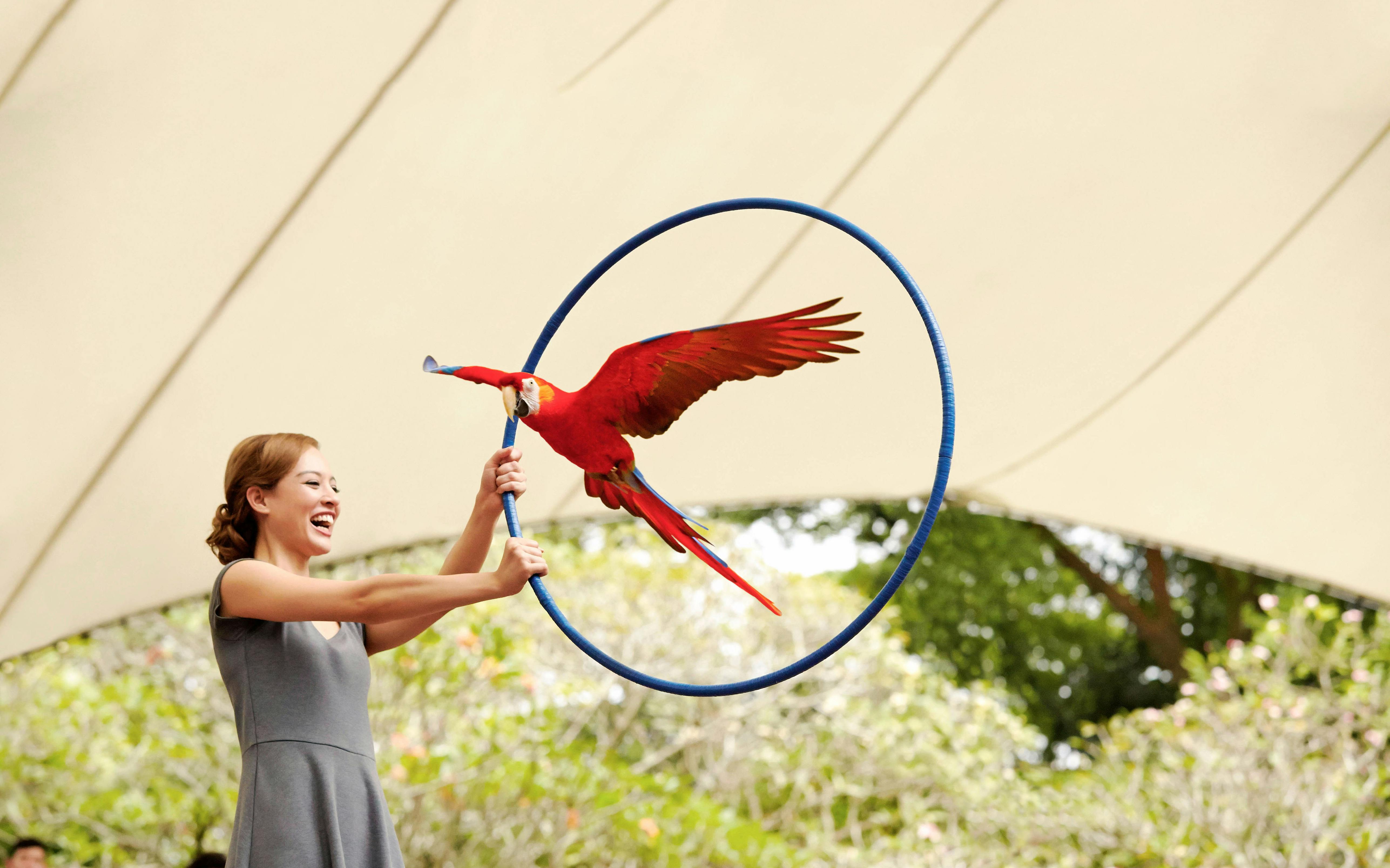 Jurong Bird Park Singapore