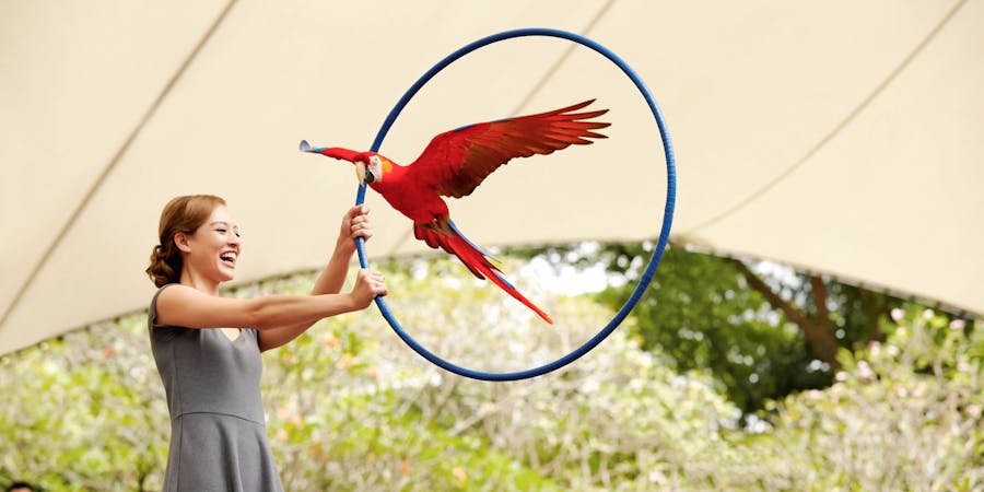 Singapore in October - jurong bird park