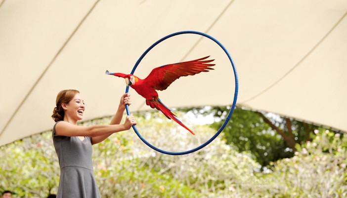 Jurong Bird Park Opening Hours