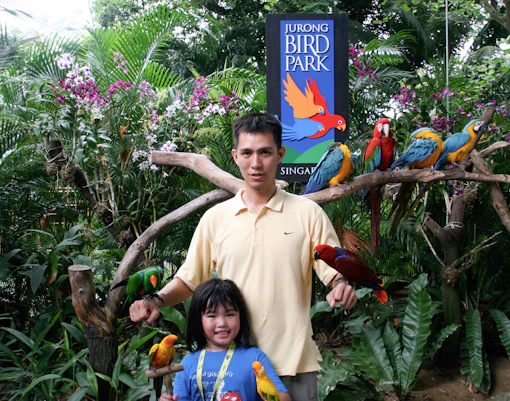Best Time to Visit SIngapore - Recommened Attractions
