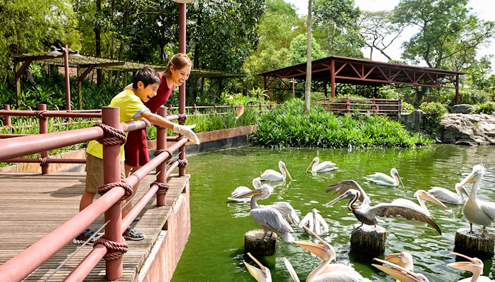 Mandai Wildlife Reserve - Spot the Egg