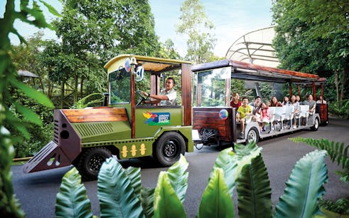 Jurong Bird Park Tickets