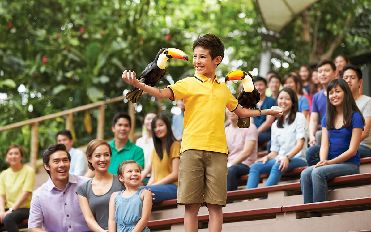 jurong bird park tickets-5 jurong bird park tickets-5