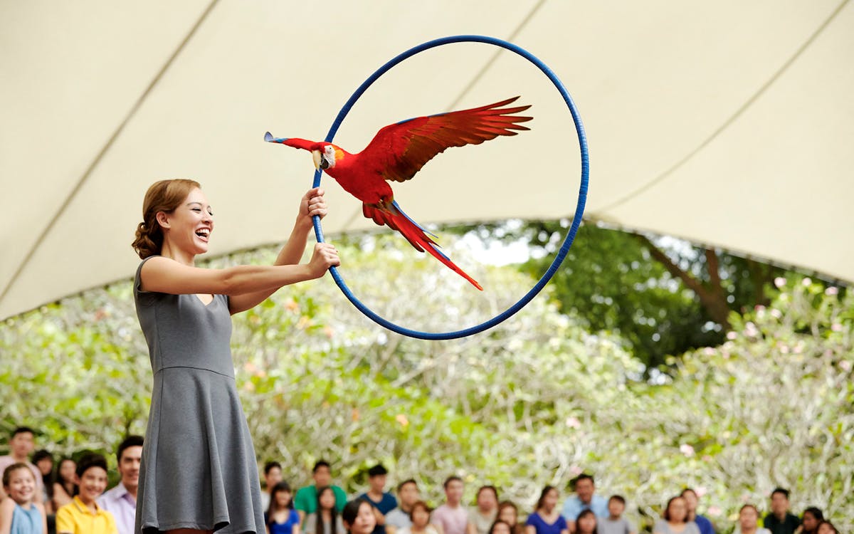 jurong bird park tickets-3 jurong bird park tickets-3