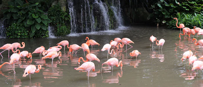 Things to do in Singapore with Kids