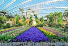 Gardens By The Bay Singapore Tickets Visitor Info Attractions More