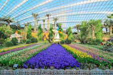 Best Things to do in Singapore - Gardens by the Bay - 3