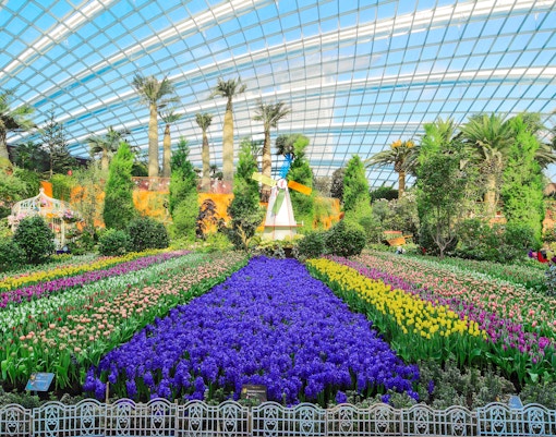 Flower Dome Gardens by the Bay