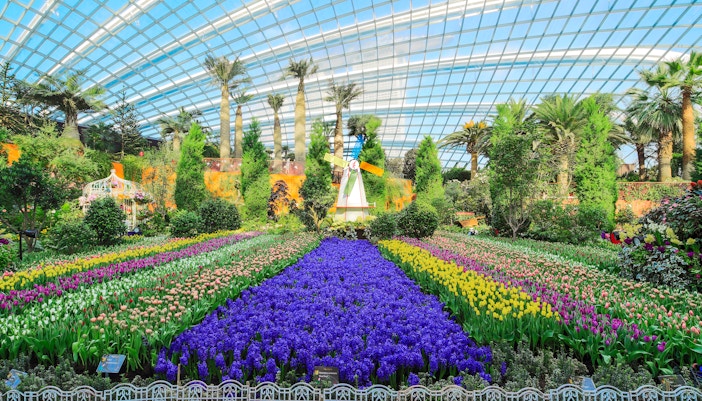 Flower Dome Gardens by the Bay