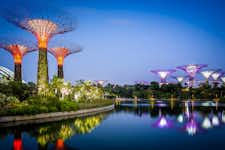 Best Things to do in Singapore - Gardens by the Bay - 1