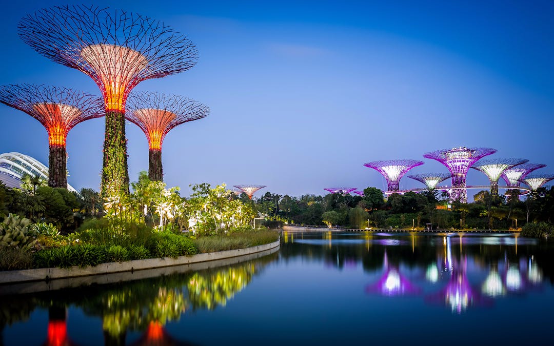 Gardens By The Bay Direct Entry Tickets Headout