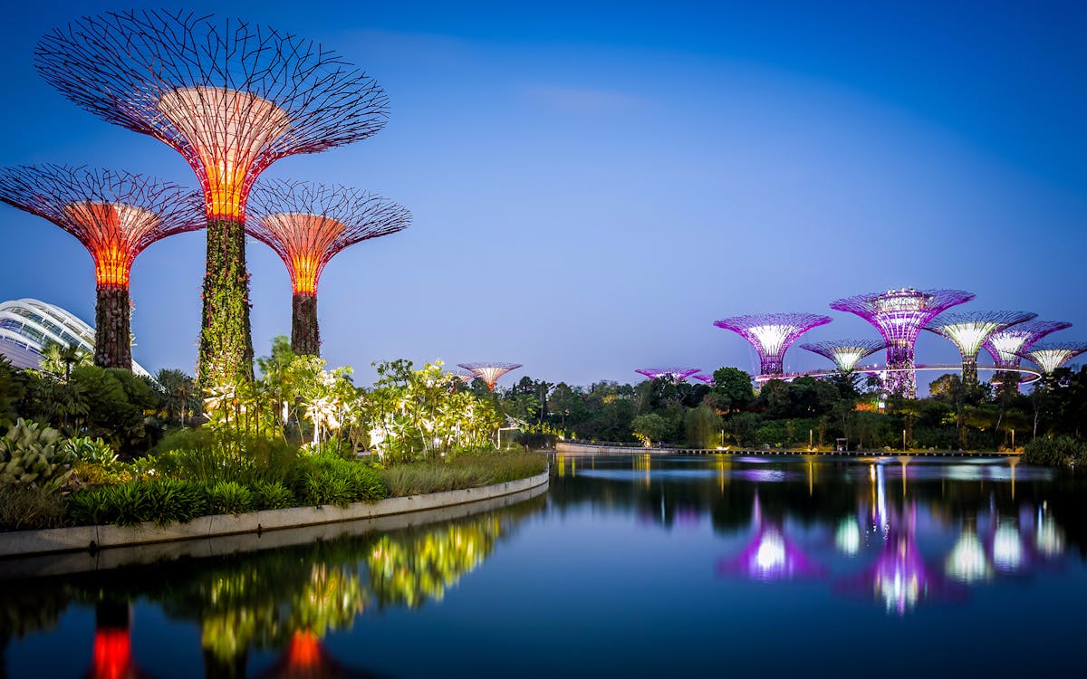 gardens by the bay singapore