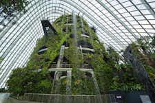 Best Things to do in Singapore - Gardens by the Bay - 2