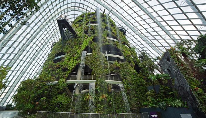 Cloud Forest Gardens by the Bay