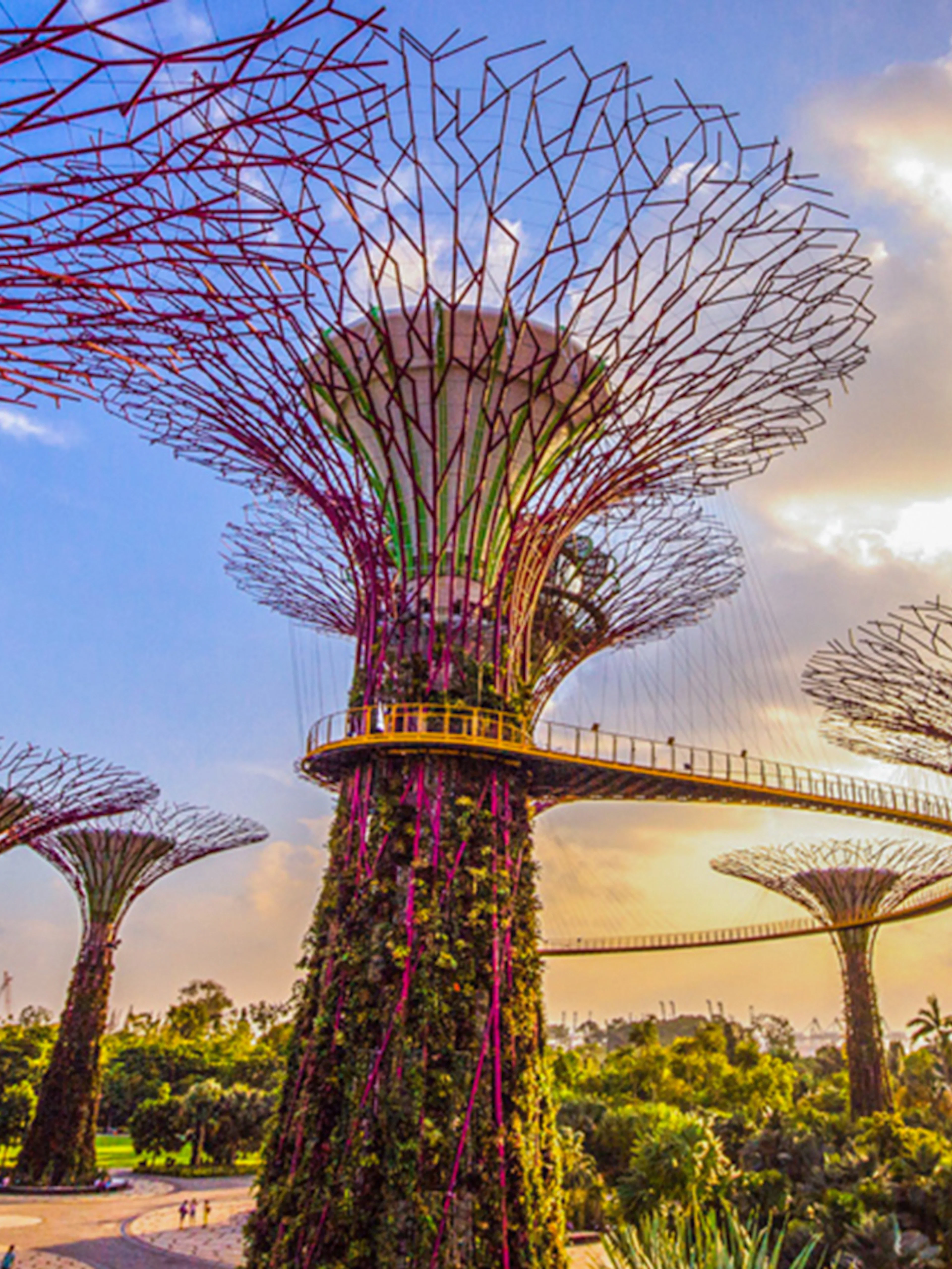 Supertree Grove with walkway at Gardens by the Bay, Singapore, near Flower Dome.