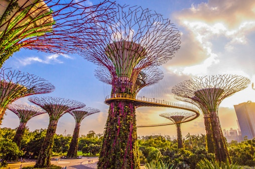 Cloud Forest ft. Jurassic World Experience + Flower Dome + Supertree Observatory