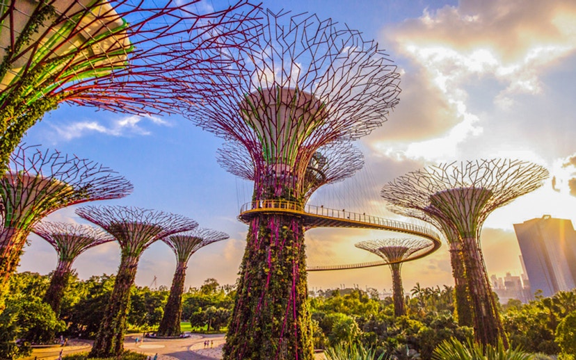Supertree Grove with walkway at Gardens by the Bay, Singapore, near Flower Dome.