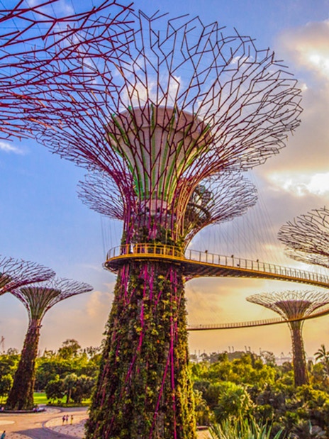 Supertree Grove with walkway at Gardens by the Bay, Singapore, near Flower Dome.
