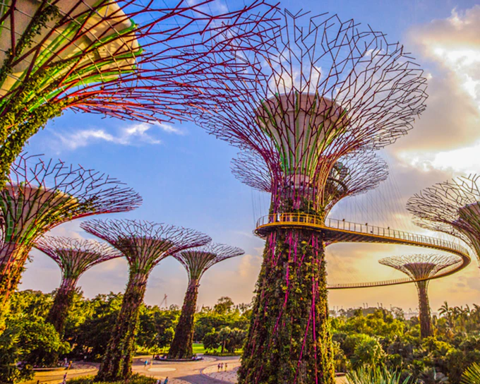 Gardens by the Bay Tickets: Cloud Forest (Jurassic World Experience) + Flower Dome + Supertree Observatory