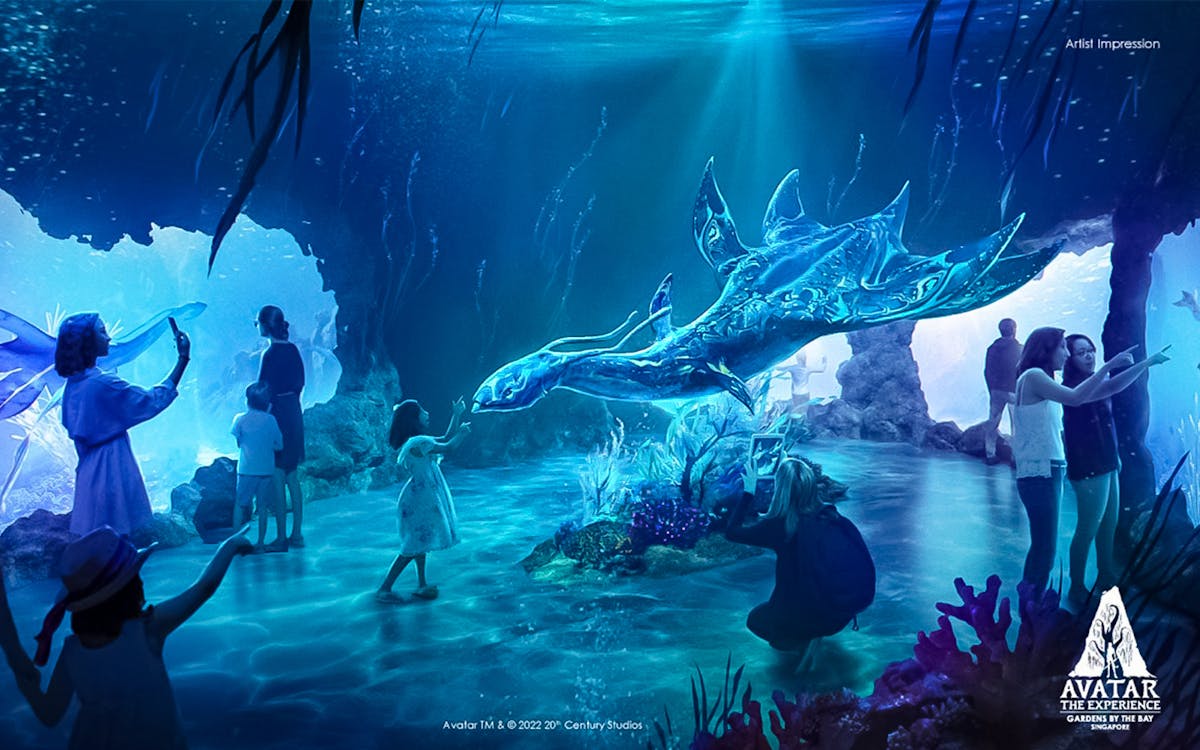 gardens by the bay direct entry tickets-14 gardens by the bay direct entry tickets-14