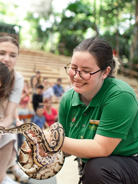 Family interacting with a snake at Singapore Zoo show.