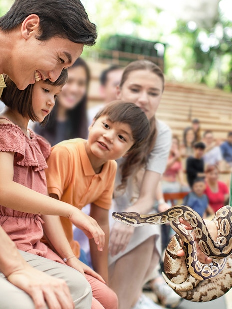Family interacting with a snake at Singapore Zoo show.