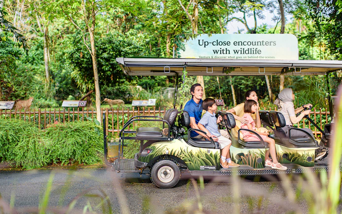 Visitors on a tram tour observing wildlife at Singapore Zoo.