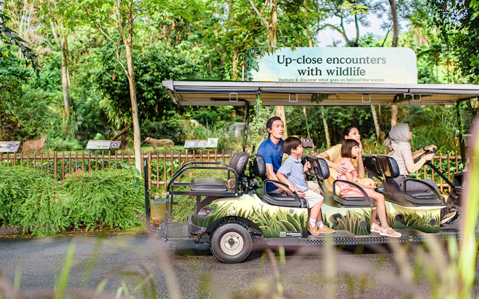 Visitors on a tram tour observing wildlife at Singapore Zoo.