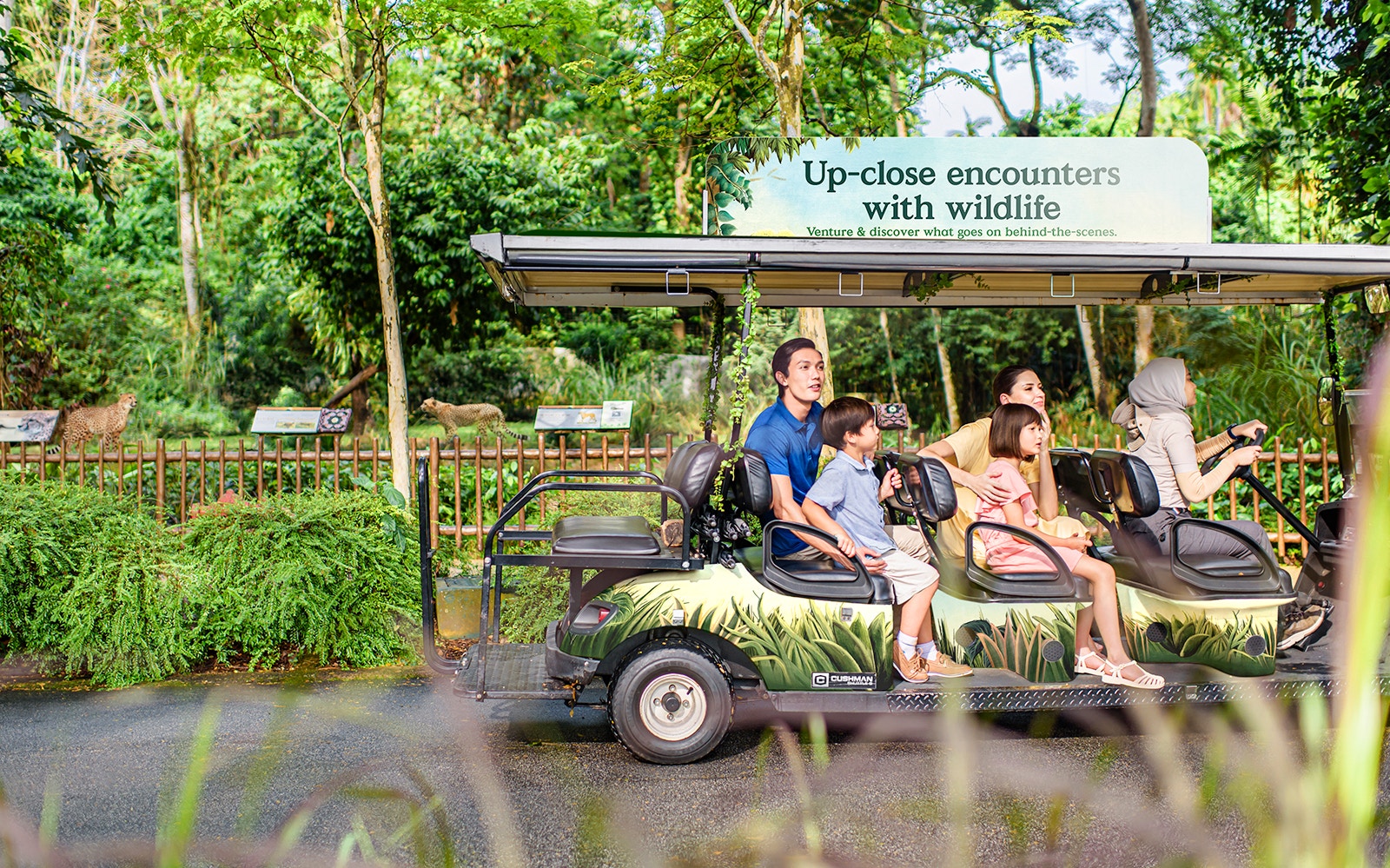 Visitors observe animals in their natural habitat at Singapore Zoo.