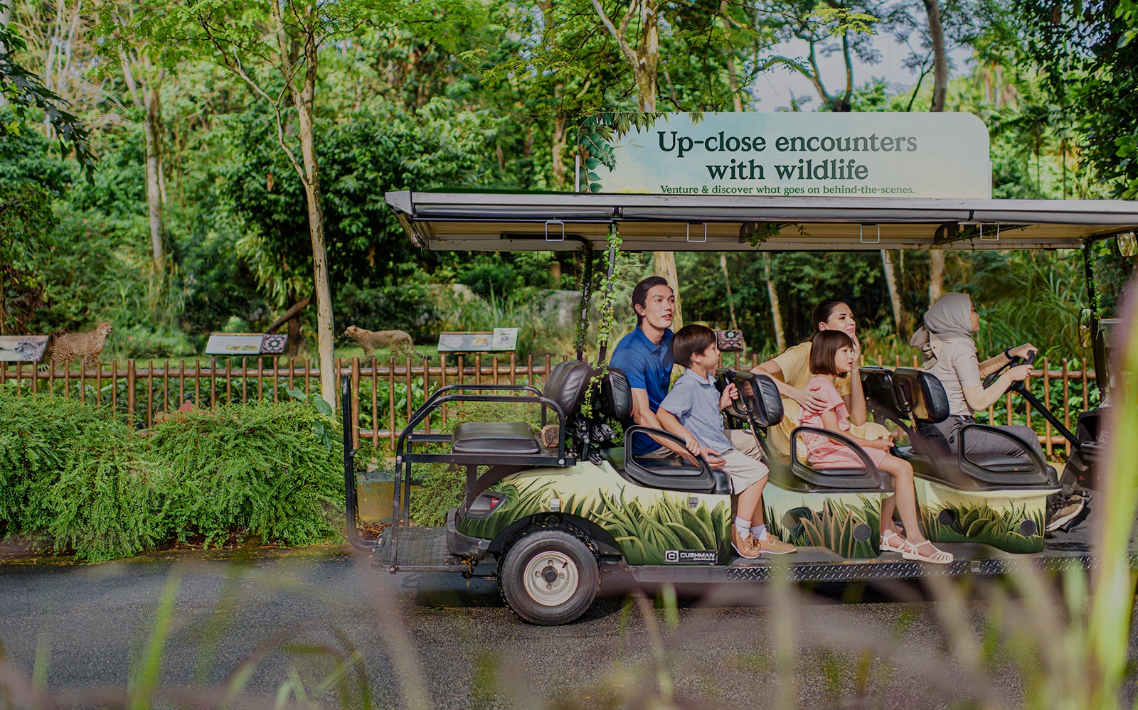 Visitors on a tram tour observing wildlife at Singapore Zoo.
